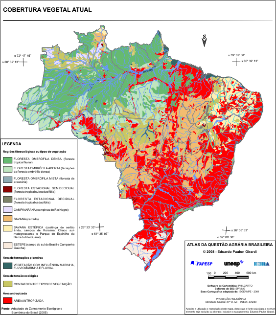 A vegetação brasileira: tipos, características e mapa